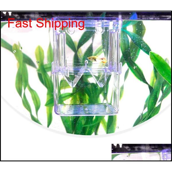 aquarium fish breeding box pet fish tank guppy double breeding breeder rearing hatchery splits fish tank t qylycc new_dhbest
aquarium fish breeding box pet fish tank guppy double breeding breeder rearing hatchery splits fish tank t qylycc new_dhbest