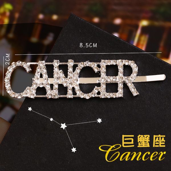 12 clips pins letter constellations rhinestone barrettes hairpins accessories for women girls hair hairclip h9px8
12 clips pins letter constellations rhinestone barrettes hairpins accessories for women girls hair hairclip h9px8
