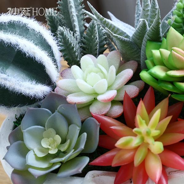 decorative flowers & wreaths simulation of succulent plant combination potted ornament artificial flower green decoration home furnishing
decorative flowers & wreaths simulation of succulent plant combination potted ornament artificial flower green decoration home furnishing