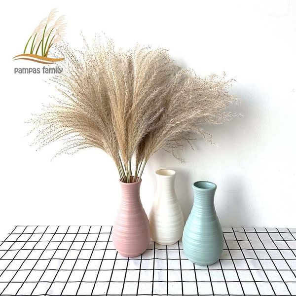 pampas grass decor natural dried flowers feather flowers decoration home decoration wedding road lead with plastic vase1
pampas grass decor natural dried flowers feather flowers decoration home decoration wedding road lead with plastic vase1