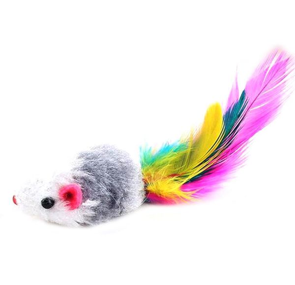 10pcs funny soft fleece false mouse cat toys colorful feather playing kitten bbyfet xmh_home
10pcs funny soft fleece false mouse cat toys colorful feather playing kitten bbyfet xmh_home