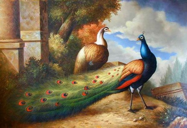 art animal beautiful peacock framed & unframed home decor handpainted &hd print oil painting on canvas wall art canvas pictures , em13
art animal beautiful peacock framed & unframed home decor handpainted &hd print oil painting on canvas wall art canvas pictures , em13