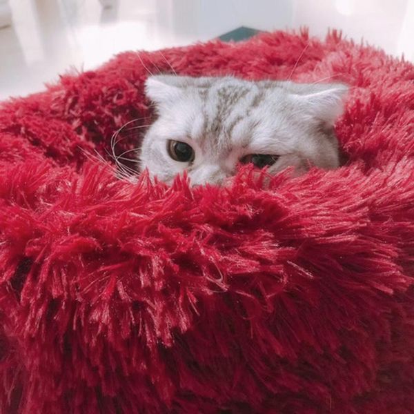 new portable warm soft comfortable pet bed for dogs pet products grey/white round plush cat bed dog house puppy cushion
new portable warm soft comfortable pet bed for dogs pet products grey/white round plush cat bed dog house puppy cushion