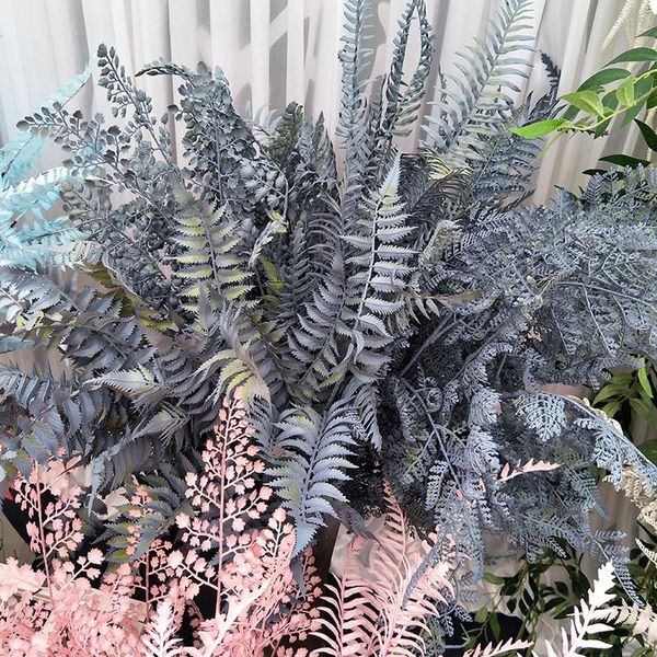 simulation plant flowers plastic green leaves grass fern grass diy turf wall decor wedding decoration home garden decor artific
simulation plant flowers plastic green leaves grass fern grass diy turf wall decor wedding decoration home garden decor artific