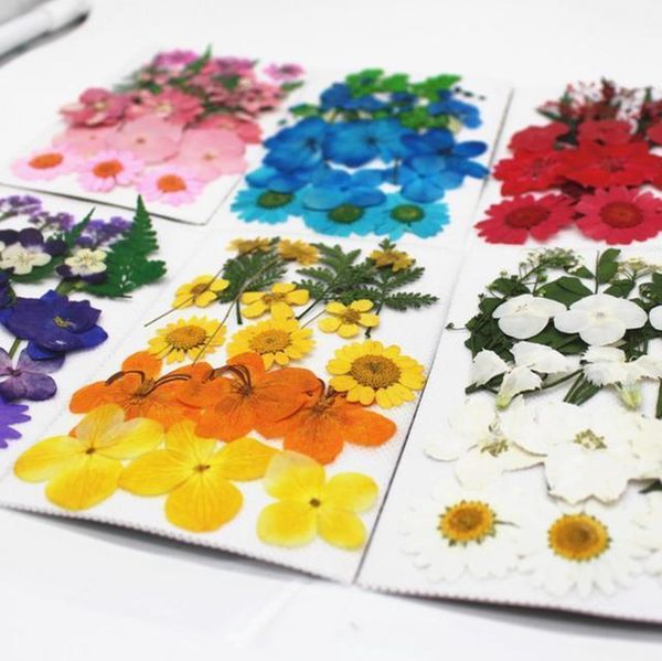 1bag dried flowers uv resin decorative natural floral flower stickers 3d beauty nail art decals epoxy mold diy filling jewelry h qylwoy
1bag dried flowers uv resin decorative natural floral flower stickers 3d beauty nail art decals epoxy mold diy filling jewelry h qylwoy