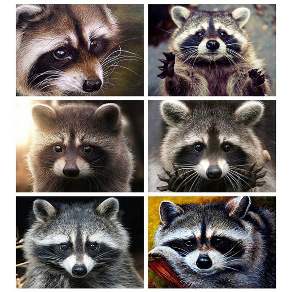 evershine diamond painting raccoon cross stitch mosaic diamond embroidery animals rhinestone pictures home decoration
evershine diamond painting raccoon cross stitch mosaic diamond embroidery animals rhinestone pictures home decoration