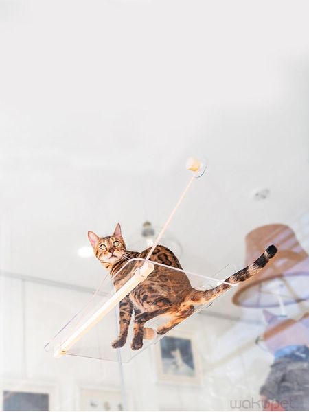 cat beds & furniture springboard transparent bed sucker hanging nest window hammock common windowsill glass supplies pet products
cat beds & furniture springboard transparent bed sucker hanging nest window hammock common windowsill glass supplies pet products