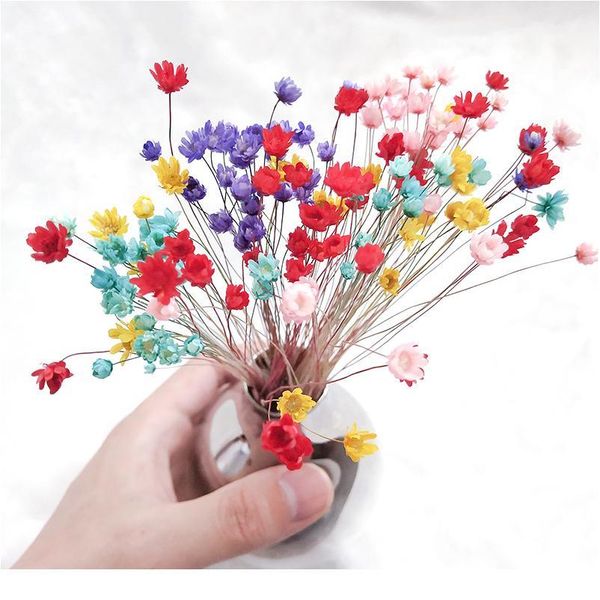 30pcs happy flower small natural dried flower bouquet mini flower for diy wedding home decor accessories fake pho bbybbb
30pcs happy flower small natural dried flower bouquet mini flower for diy wedding home decor accessories fake pho bbybbb