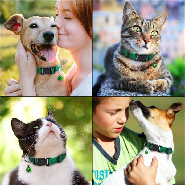 safety dog cat outdoor anti flea mite tick collar neck strap adjustable nylon dogs collars effective insecticidal kil bbyztl
safety dog cat outdoor anti flea mite tick collar neck strap adjustable nylon dogs collars effective insecticidal kil bbyztl
