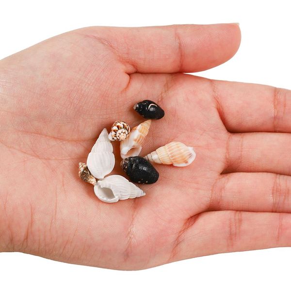 50g/lot natural small conch shape seashell mixed color shells diy for jewelry making finding accessories supplies necklace chain wmtass
50g/lot natural small conch shape seashell mixed color shells diy for jewelry making finding accessories supplies necklace chain wmtass