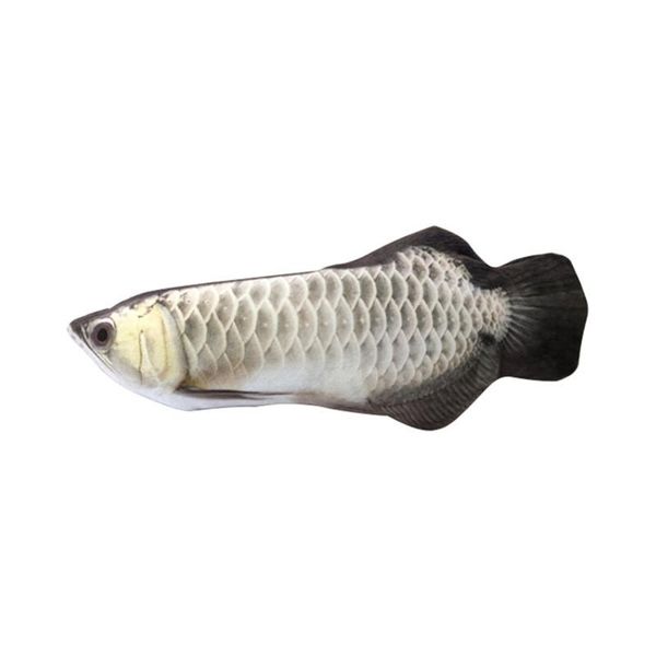 2020 30cm pet cat toy electric usb charging simulation dancing moving floppy fish cats toy for pet toys interactive dog dropshipping
2020 30cm pet cat toy electric usb charging simulation dancing moving floppy fish cats toy for pet toys interactive dog dropshipping