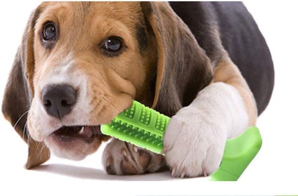 unknown generic dog pets toothbrush chew toys, brushing teeth cleaning stick dental oral care for aggressive chewers for puppies, medium dog
unknown generic dog pets toothbrush chew toys, brushing teeth cleaning stick dental oral care for aggressive chewers for puppies, medium dog