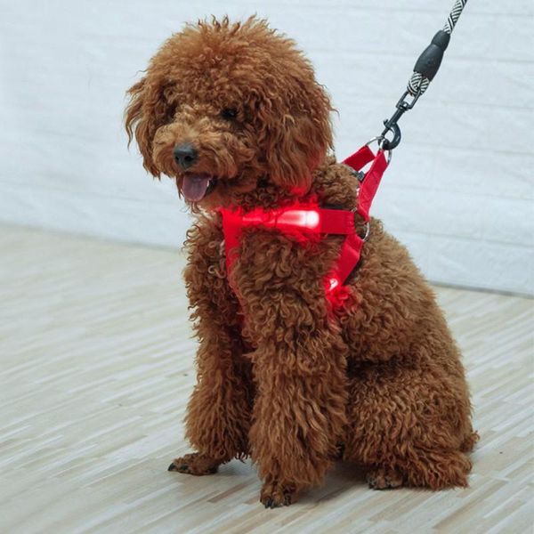 pet cat and dog led luminous chest strap led leash rope night warning light usb chargingled flashing light harness 1
pet cat and dog led luminous chest strap led leash rope night warning light usb chargingled flashing light harness 1