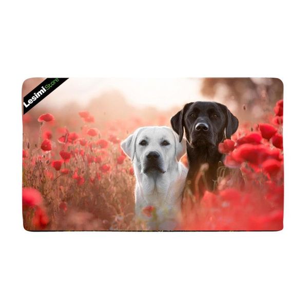 cushion/decorative pillow welcome mat puppy red poppy flower entrance door indoor bathroom front area floor carpet rubber non-slip waterproo
cushion/decorative pillow welcome mat puppy red poppy flower entrance door indoor bathroom front area floor carpet rubber non-slip waterproo