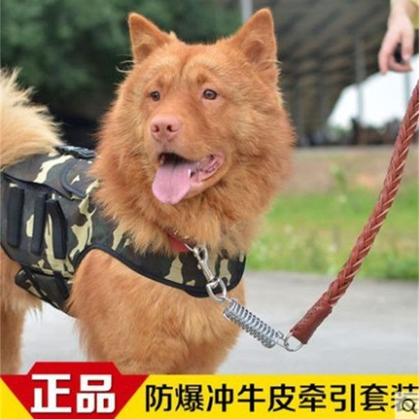 collar suit traction rope pull stereotyped chain belt pu leather pet supplies wholesale
collar suit traction rope pull stereotyped chain belt pu leather pet supplies wholesale
