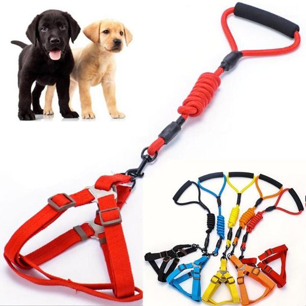 for dog 48cm-75cm 2020 new soft breathable air nylon mesh puppy dog pet cat harness and leash set outside tool 10285e1
for dog 48cm-75cm 2020 new soft breathable air nylon mesh puppy dog pet cat harness and leash set outside tool 10285e1