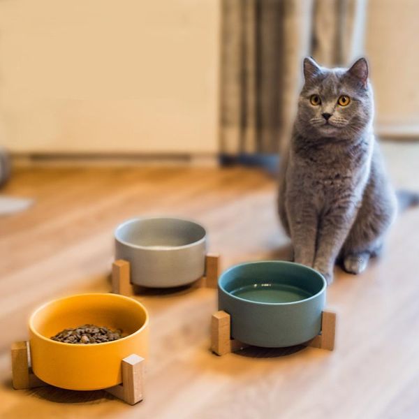 dry ceramic pet bowl canister food water & treats for dogs & cats more comfortable eating for kitten and puppy durable feeder
dry ceramic pet bowl canister food water & treats for dogs & cats more comfortable eating for kitten and puppy durable feeder