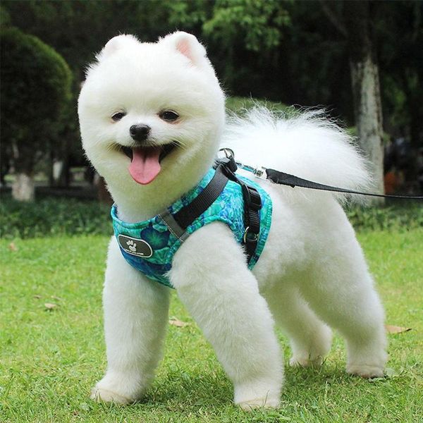 pet dog vest reflective vest harness with leash puppy harness and leash set walking dog supplies
pet dog vest reflective vest harness with leash puppy harness and leash set walking dog supplies