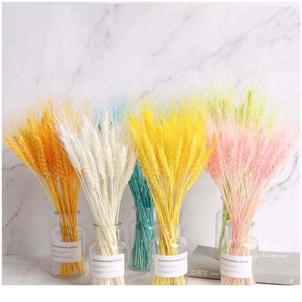 50pcs/lot natural dried flower wheat ears bouquet for wedding party decoration diy craft home decor scrapbook wheat bran bbydrp
50pcs/lot natural dried flower wheat ears bouquet for wedding party decoration diy craft home decor scrapbook wheat bran bbydrp
