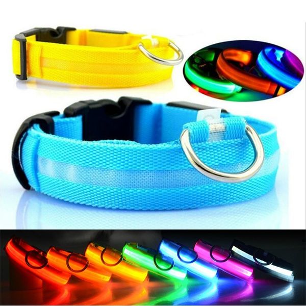 the glow night in dark safety flashing leash pet collar luminous for dogs cats accessories dog supplies
the glow night in dark safety flashing leash pet collar luminous for dogs cats accessories dog supplies