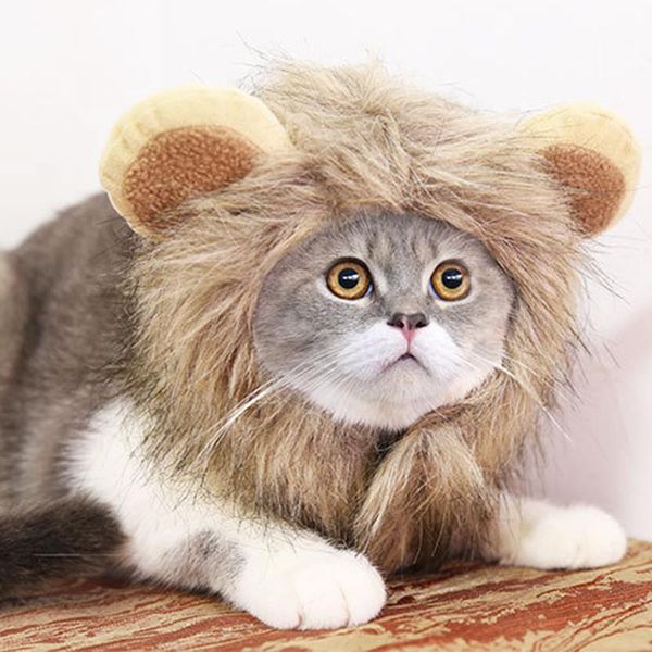 halloween funny cat hat cute transformation decoration cat accessories for cats kedi headpiece wig cat costume pet supplies lion h wmtnrf
halloween funny cat hat cute transformation decoration cat accessories for cats kedi headpiece wig cat costume pet supplies lion h wmtnrf
