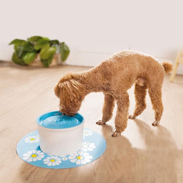 multifunctional 4pcs lot activated carbon filter for matic water drinking fountain cat dog kitten pet bowl drink dish filter wmtwqt
multifunctional 4pcs lot activated carbon filter for matic water drinking fountain cat dog kitten pet bowl drink dish filter wmtwqt