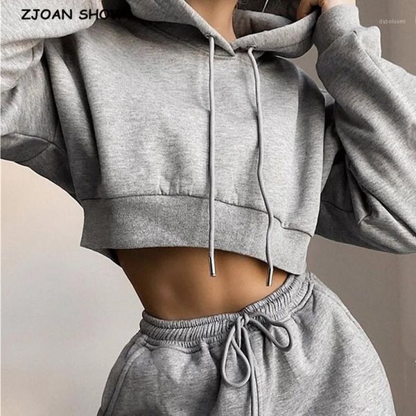 2 pieces set harajuku long sleeve hoodies fleece cropped hooded sweatshirt elastic waist sport pants women long sleeve sweats1, Gray
2 pieces set harajuku long sleeve hoodies fleece cropped hooded sweatshirt elastic waist sport pants women long sleeve sweats1, Gray