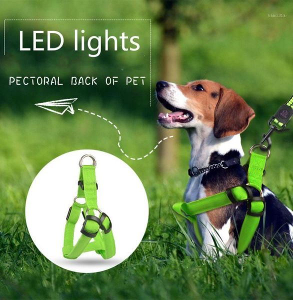 pet harness vest led lights nylon dog harness collar safety adjustable dog traction belt led collar vest pet accessories1
pet harness vest led lights nylon dog harness collar safety adjustable dog traction belt led collar vest pet accessories1