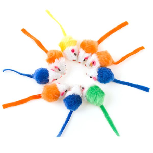 plush false 10pcs mouse toys cat teaser interactive toy for cats kitten animals funny playing mice toys pet cat products
plush false 10pcs mouse toys cat teaser interactive toy for cats kitten animals funny playing mice toys pet cat products