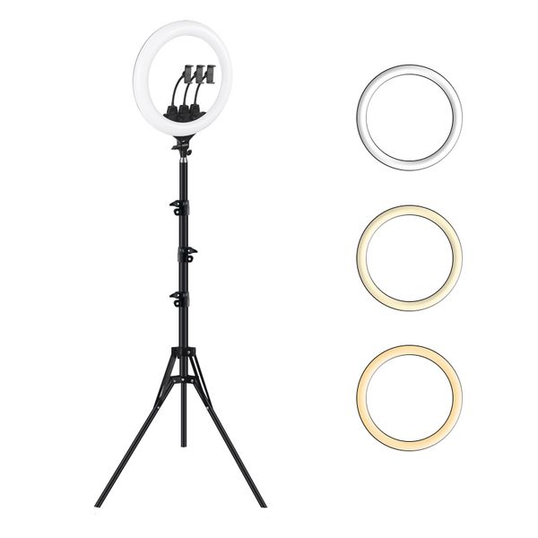 video live streaming cell mobile phone holder selfie stick tripod led circle tiktok ring light stand
video live streaming cell mobile phone holder selfie stick tripod led circle tiktok ring light stand