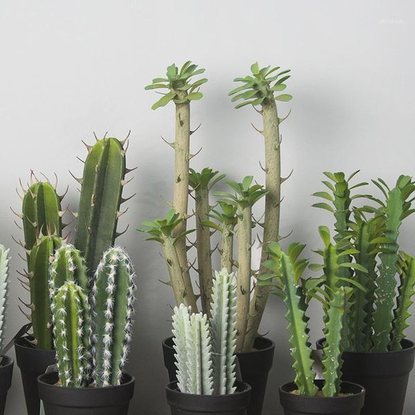 decorative flowers & wreaths wholesale-25cm artificial cactus succulents unpotted quality fake plastic flower arrangements cacti faux plants
decorative flowers & wreaths wholesale-25cm artificial cactus succulents unpotted quality fake plastic flower arrangements cacti faux plants