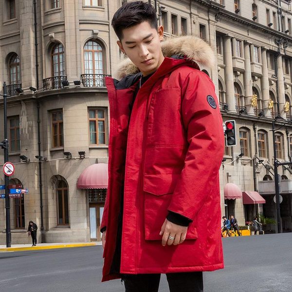 tcyeek real raccoon fur hooded down coat men winter 90% duck down jacket clothes 2019 korean warm long fit parka hiver 47001, Black
tcyeek real raccoon fur hooded down coat men winter 90% duck down jacket clothes 2019 korean warm long fit parka hiver 47001, Black
