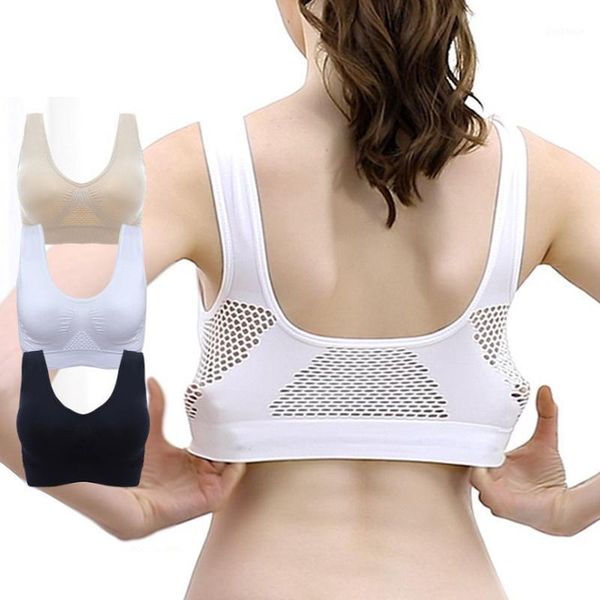 3pcs/2pcs women hollow out breathable sports bras padded sports bra gym running fitness yoga plus size1, White;black
3pcs/2pcs women hollow out breathable sports bras padded sports bra gym running fitness yoga plus size1, White;black