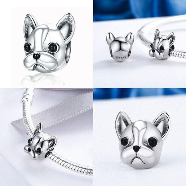 buy 3 save 8% 925 sterling silver a dog 's story poodle puppy french bulldog beads charm fit charms silver 925 original wmtcmh
buy 3 save 8% 925 sterling silver a dog 's story poodle puppy french bulldog beads charm fit charms silver 925 original wmtcmh