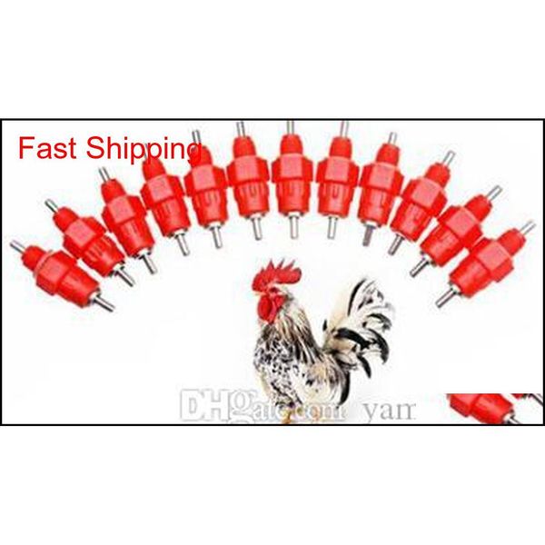 2000pcs nipple drinker feeder water cups chicken drinkers waterer 360 angle poultry supplies f qylqws bde_luck
2000pcs nipple drinker feeder water cups chicken drinkers waterer 360 angle poultry supplies f qylqws bde_luck