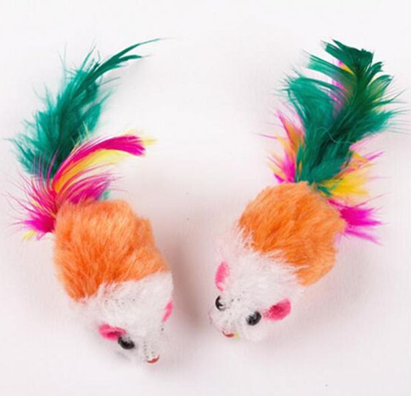 10pcs funny soft fleece false mouse cat toys colorful feather playing kitten jllyro home003
10pcs funny soft fleece false mouse cat toys colorful feather playing kitten jllyro home003