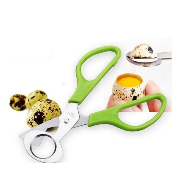 pigeon quail egg scissor bird cutter opener egg slicers kitchen housewife tool clipper accessories jlljwv dh_niceshop
pigeon quail egg scissor bird cutter opener egg slicers kitchen housewife tool clipper accessories jlljwv dh_niceshop