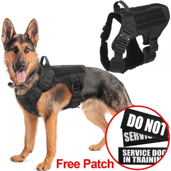 tactical dog harness pet training dog vest metal buckle german shepherd k9 harness and leash for small large dogs
tactical dog harness pet training dog vest metal buckle german shepherd k9 harness and leash for small large dogs
