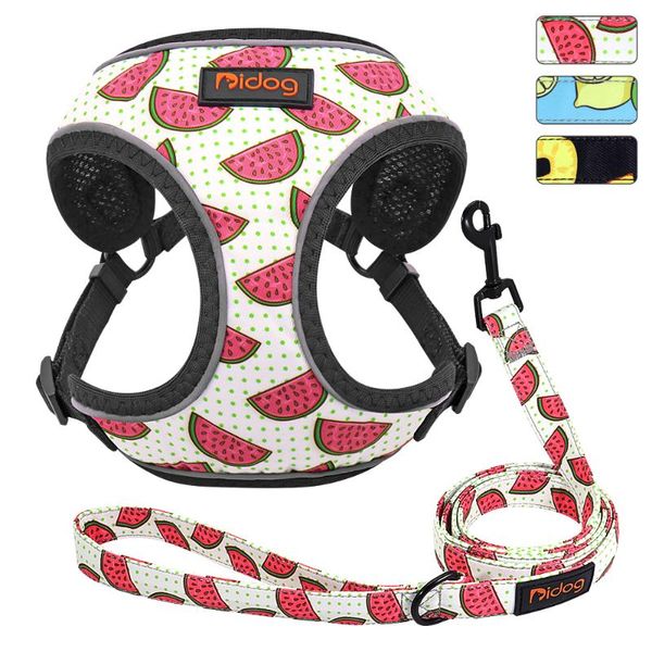 cute adjustable dog harness leash set reflective mesh puppy vest nylon pet walking leash lead for small medium dogs chihuahua
cute adjustable dog harness leash set reflective mesh puppy vest nylon pet walking leash lead for small medium dogs chihuahua