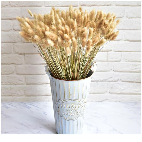 30/60pcs natural dried flowers rabbit tail grass bunch colorful lagurus ovatus real flower bouquet for home wedding de wmtsev
30/60pcs natural dried flowers rabbit tail grass bunch colorful lagurus ovatus real flower bouquet for home wedding de wmtsev