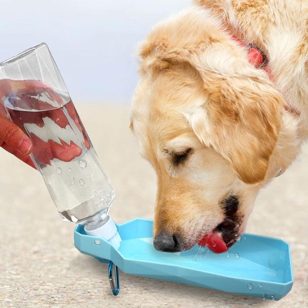 dog water bottle foldable plastic pet puppy drinking feeder cup portable outdoor travel dog cats bowl perro for small la wmtjqt
dog water bottle foldable plastic pet puppy drinking feeder cup portable outdoor travel dog cats bowl perro for small la wmtjqt