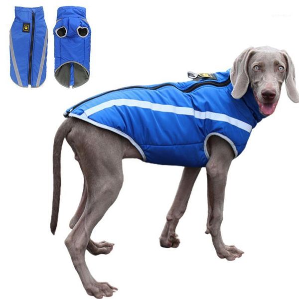 dog apparel winter warm clothes waterproof pet padded vest zipper jacket coat for small medium large dogs costume ropa para perros1
dog apparel winter warm clothes waterproof pet padded vest zipper jacket coat for small medium large dogs costume ropa para perros1