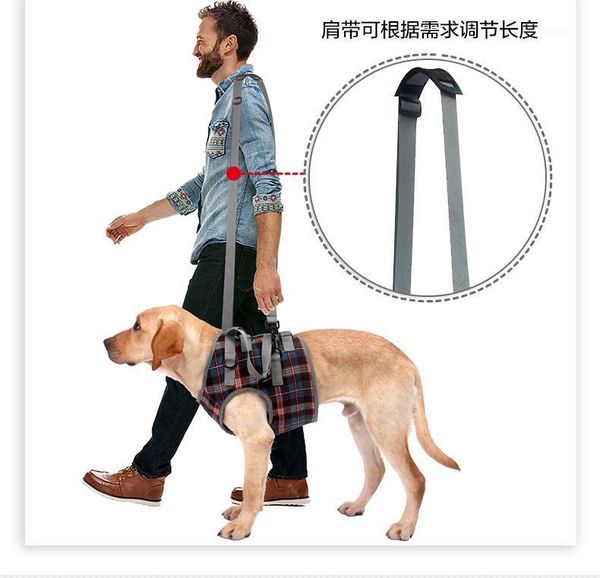 cross-border pet leg strap walking bracket dog leg protecting band hind disability injured high aged dog auxiliary belt1
cross-border pet leg strap walking bracket dog leg protecting band hind disability injured high aged dog auxiliary belt1