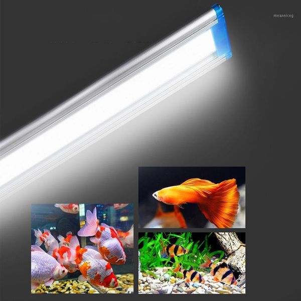 18/28/38/48cm super slim leds aquarium lighting aquatic plant light extensible waterproof clip on lamp for fish tank1
18/28/38/48cm super slim leds aquarium lighting aquatic plant light extensible waterproof clip on lamp for fish tank1