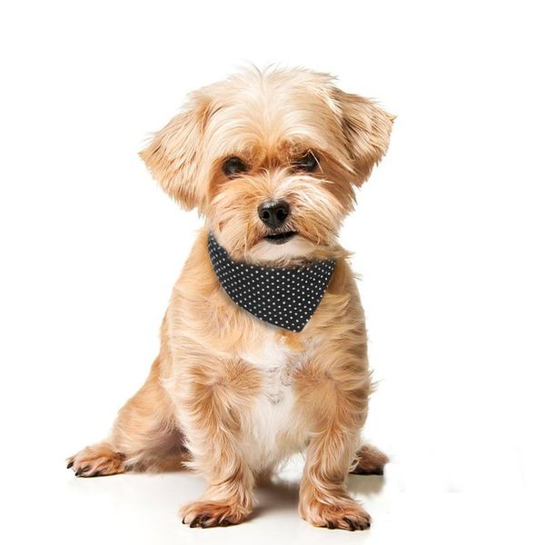 pet dog cat bandana collar adjustable leather dog collars puppy cat scarf neckerchief pet accessories tie for small med jllpcc
pet dog cat bandana collar adjustable leather dog collars puppy cat scarf neckerchief pet accessories tie for small med jllpcc