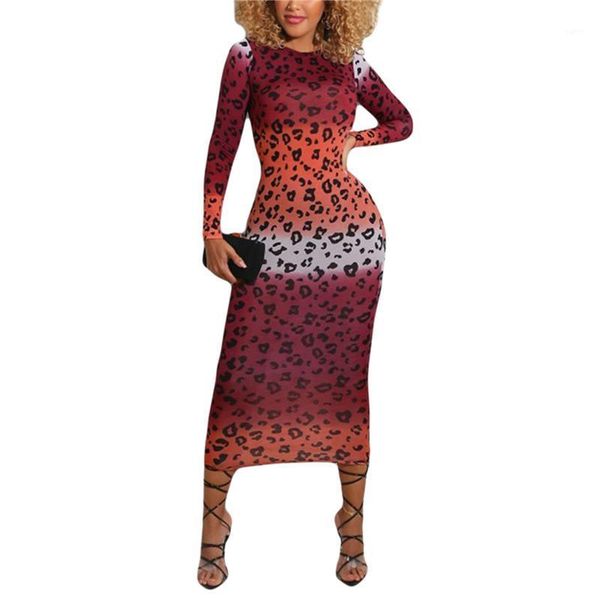 women casual long dress, wine red long sleeve round collar leopard printed pattern one-piece1, Black;gray
women casual long dress, wine red long sleeve round collar leopard printed pattern one-piece1, Black;gray