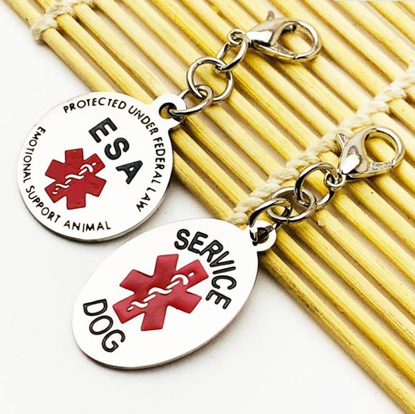dog diabetes reminder services stainless creative steel medicine tag keychain emergency life channel jewelry gift for pa, Silver
dog diabetes reminder services stainless creative steel medicine tag keychain emergency life channel jewelry gift for pa, Silver