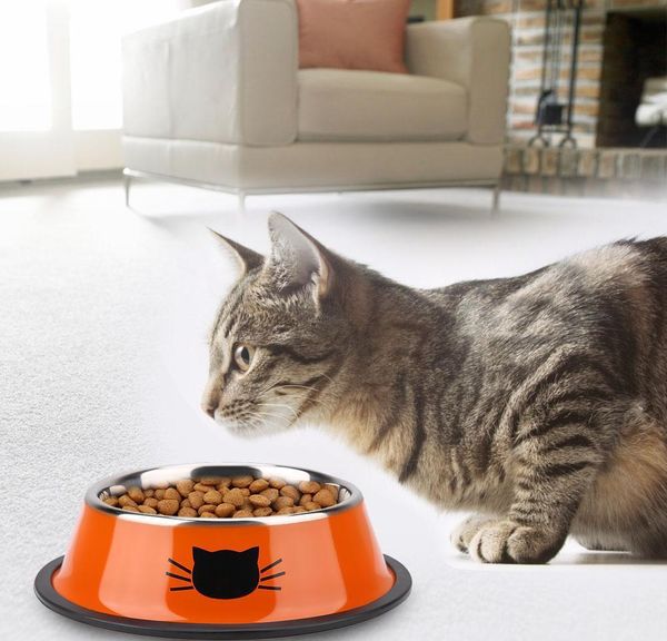 pet dog bowls portable travel stainless steel dog food bowl puppy cat outdoor drinking water dish with no wmtlht dh_garden
pet dog bowls portable travel stainless steel dog food bowl puppy cat outdoor drinking water dish with no wmtlht dh_garden