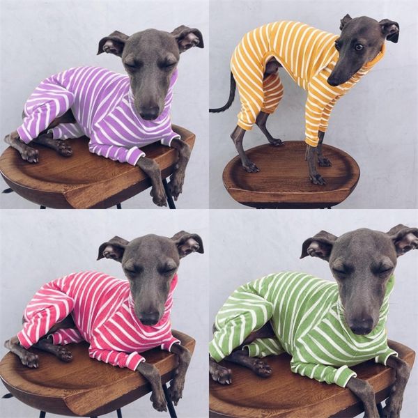 stripe pet dog accessories clothes high collar cold proof shirt four long sleeves dogs supplies shirts new pattern 26lm f2
stripe pet dog accessories clothes high collar cold proof shirt four long sleeves dogs supplies shirts new pattern 26lm f2