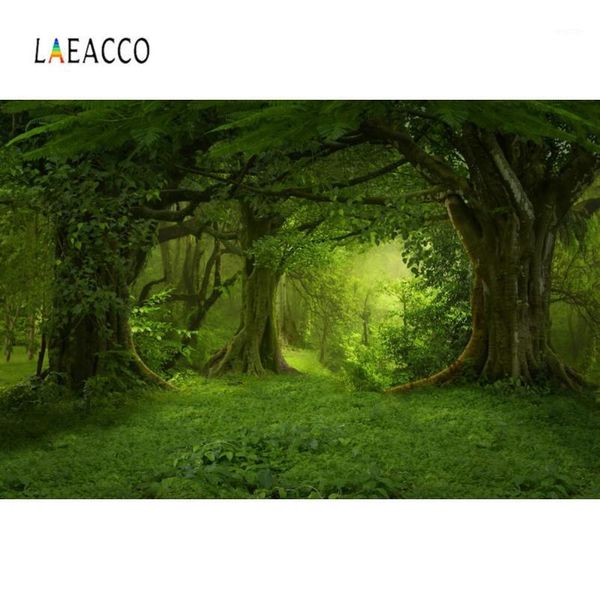 laeacco forest backdrops green jungle tree grass mystery way party natural view pgraphic backdrops pcall p studio1
laeacco forest backdrops green jungle tree grass mystery way party natural view pgraphic backdrops pcall p studio1